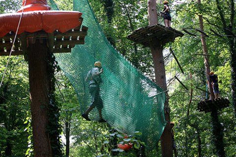 Ein Mensch balanciert durch ein Netz, das zwischen den Kletterplattformen zweier Bäume gespannt ist. Zwei weitere Menschen in Kletter-Outfits stehen auf den Plattformen anderer Bäume.