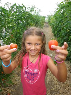 Ein Mädchen steht zwischen zwei Erntereihen und hält strahlend zwei rote Tomaten vor sich hoch.
