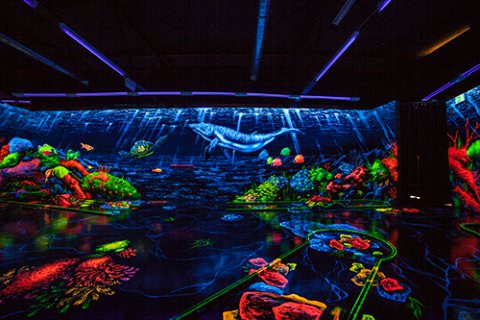 In einer verdunkelten Halle leuchtet eine bunte Welt aus 3D- und Schwarzlichteffekten. An einer Wand sieht man einen großen, blau-leuchtenden Wal, auf den Boden leuchten bunt schillernde Objekte.