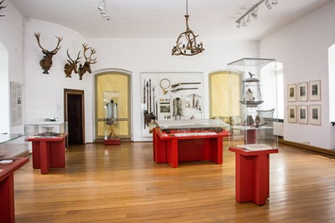 In einem Ausstellungsraum stehen Vitrinen und Tische mit Exponaten. An den Wänden hängen gerahmte Bilder und Schriftstücke und auch einige Geweihe.