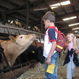 Ein Junge und ein Mädchen stehen in einem Kuhstall vor einer hellbraunen Kuh, die ihnen den Kopf entgegen reckt.
