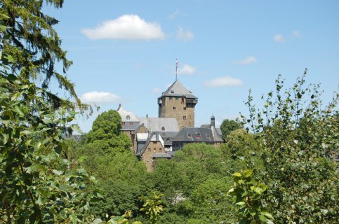 Schloss Burg über den Baumwipfeln im Sonnenschein.