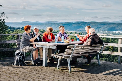 Eine Wandergruppe macht Rast an einem Aussichtspunkt mit herrlichem Blick ins Rheintal. Sie sitzen auf Bänken an einem Tisch und picknicken. 