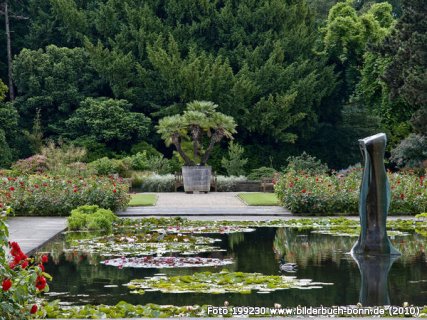 Ein quadratisch angelegter Teich mit vielen Seerosenblättern und Seerosenblüten. Aus der Mitte des Teiches ragt eine Skulptur empor. Im Hintergrund viel Grün, unter anderem Rosenhecken und einem Palmengewächs.