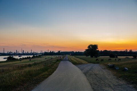 Deichweg am Rhein kurz nach Sonnenuntergang. Am anderen Ufer leuchten die Lichter von Industrieanlagen.