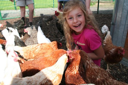 Ein Mädchen im pinken T-Shirt sitzt lachend in einem Hühnergehege mit vielen bunt gescheckten Hühnern.