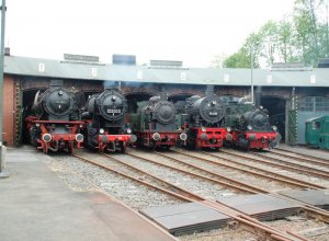 Fünf große schwarze Dampfloks stehen auf Schienen vor einem Lokschuppen. Sie stoßen Dampf aus.